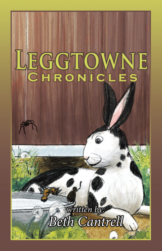 Imagen de portada: Leggtowne Chronicles 9781489749826