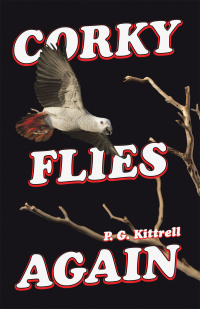 Cover image: Corky Flies Again 9781489749956