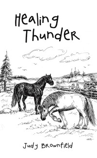 Cover image: Healing Thunder 9781489750693