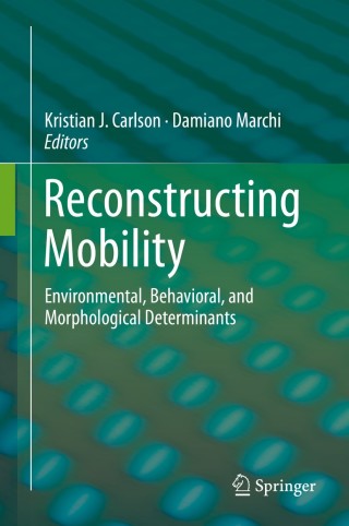 Imagen de portada: Reconstructing Mobility 9781489974594