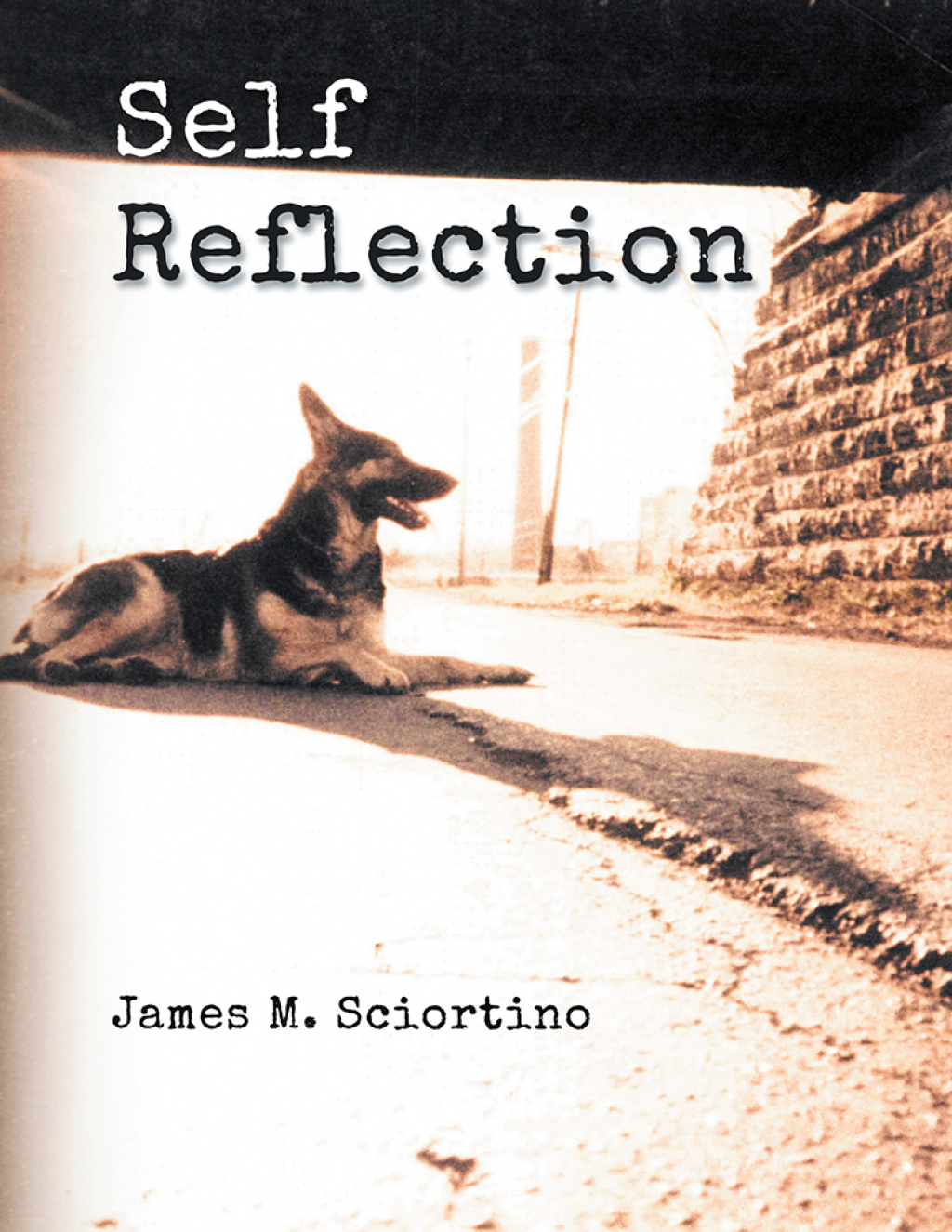Self Reflection (eBook)