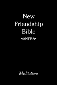 Imagen de portada: New Friendship Bible 9781426909832