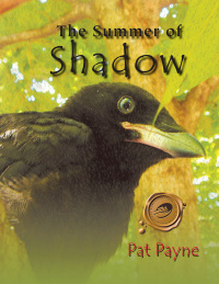 Cover image: The Summer of Shadow