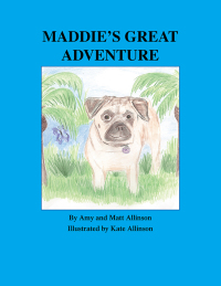 Imagen de portada: Maddie's Great Adventure 9781412068055