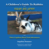 Cover image: A Children’S Guide to Rabbits with Radar and Jupiter and Their Capilano Back Yard Adventures 9781490725536