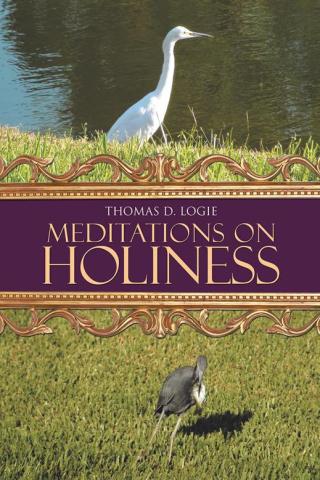 Imagen de portada: Meditations on Holiness 9781490729282
