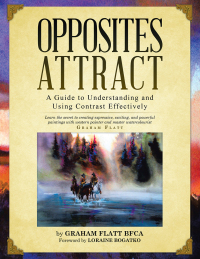 Cover image: Opposites Attract 9781490730660