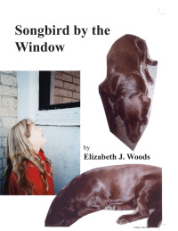 Imagen de portada: Songbird by the Window 9781412019866
