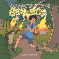 Cover image: The Adventures of Stick Boy 9781490733852
