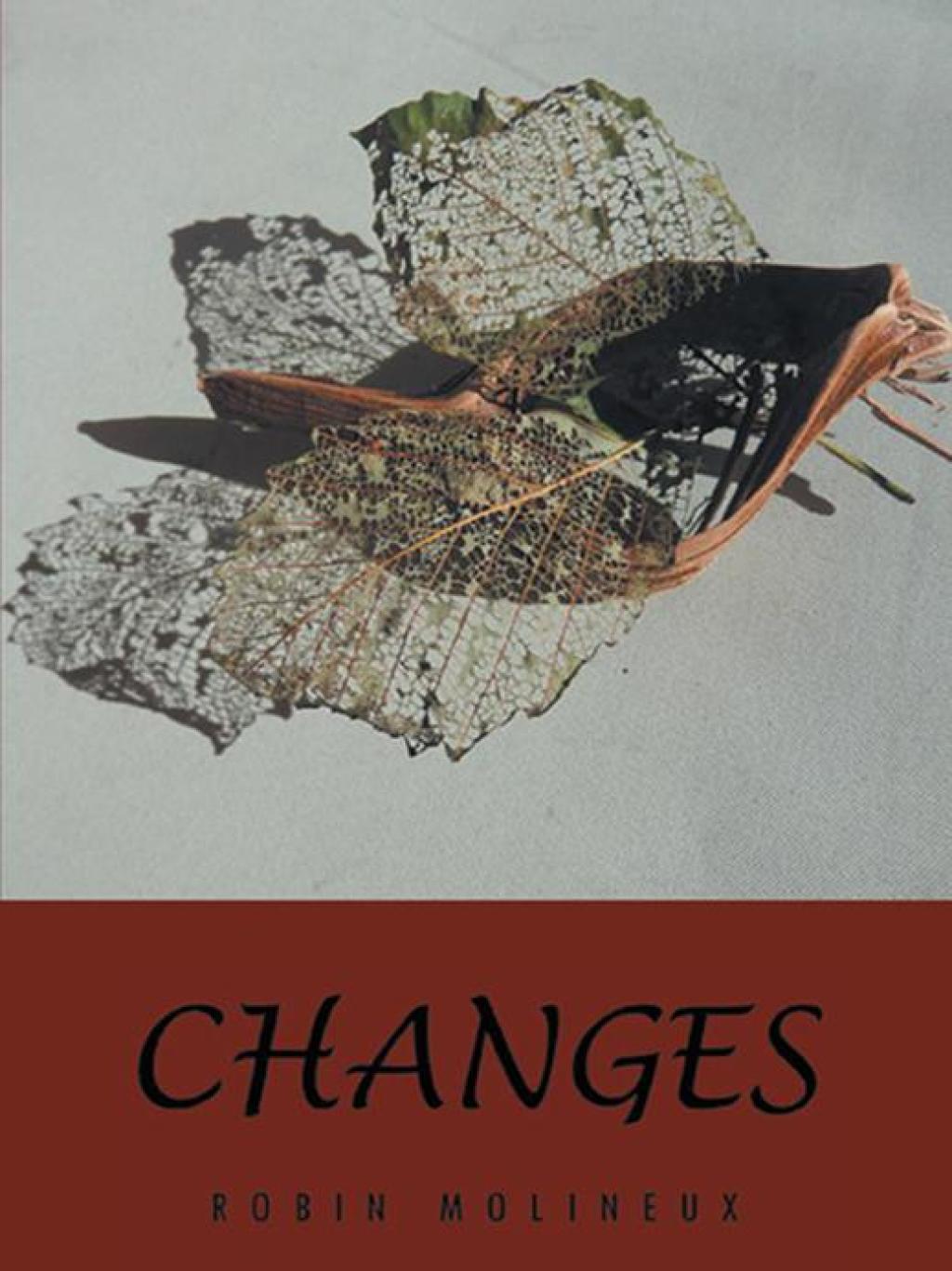 Changes (eBook)
