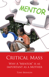 Imagen de portada: Critical Mass 9781490737935