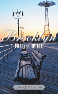 Cover image: Brooklyn Pieces of My Life 9781490741277