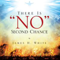 Imagen de portada: There Is "No" Second Chance 9781490742731