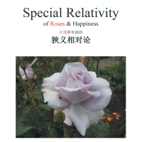 Cover image: Special Relativity of Roses & Happiness 9781490743523