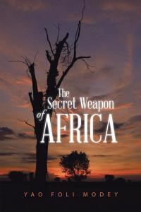 表紙画像: The Secret Weapon of Africa 9781490743783