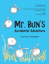 Cover image: Mr. Bun's Accidental Adventure 9781490744940