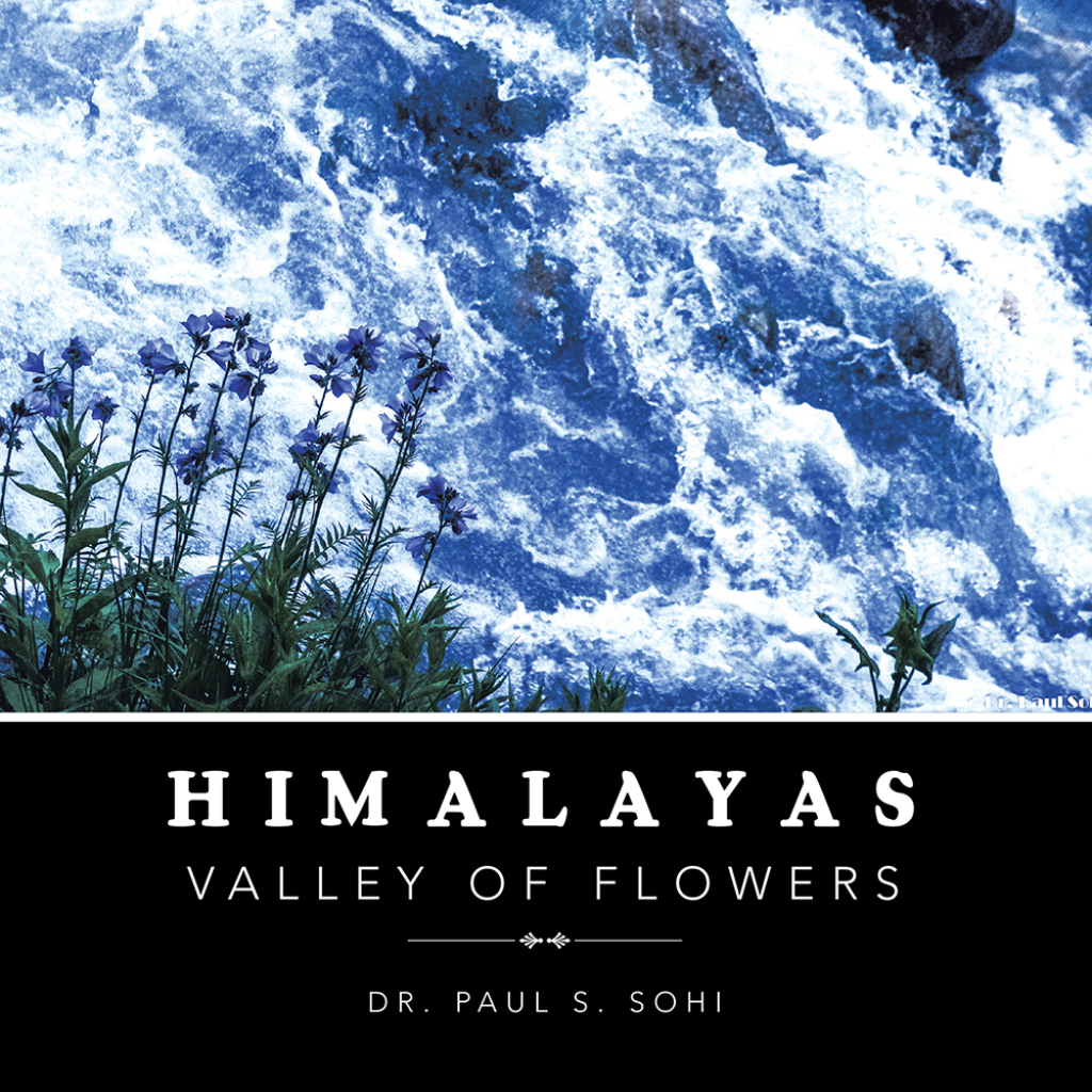 Himalayas Valley of Flowers