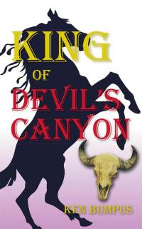 Cover image: King of Devil's  Canyon 9781490747347