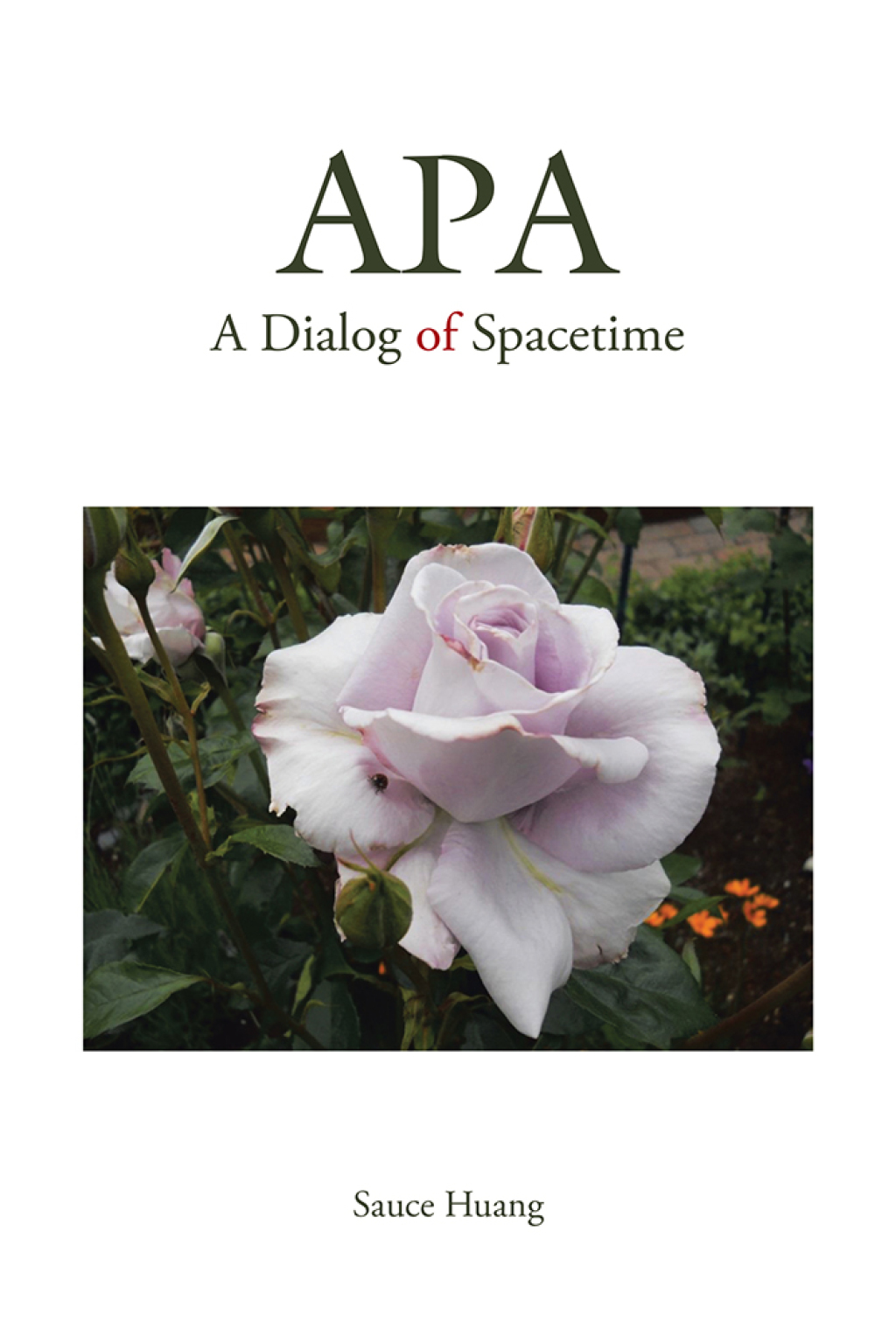 Apa A Dialog of Spacetime