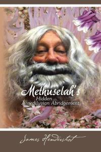 Cover image: Methuselah's Hidden Antediluvian Abridgement 9781490748979