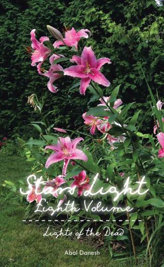 Cover image: Stars Light: Eighth Volume 9781490757629