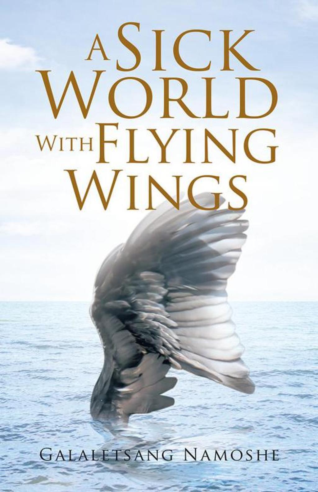 A Sick World with Flying Wings eBook