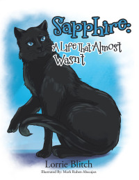 Cover image: Sapphire: a Life That Almost Wasn't 9781490763453