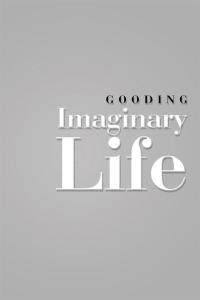 Cover image: Imaginary Life 9781490764368