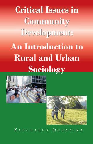Cover image: Critical Issues in Community Development 9781490765662