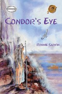 Omslagafbeelding: Condor's Eye 9781490766386