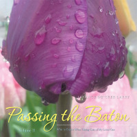 Cover image: Passing the Baton 9781490769141