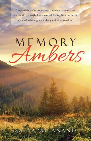 Omslagafbeelding: Memory Ambers 9781490769264