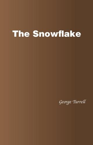 Imagen de portada: The Snowflake 9781490775722