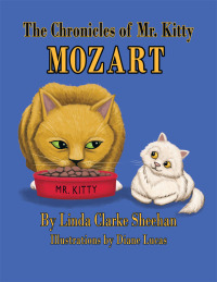 Titelbild: The Chronicles of Mr. Kitty Mozart 9781426955716