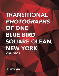 表紙画像: Transitional Photographs of One Blue Bird Square Olean, New York 9781490778648