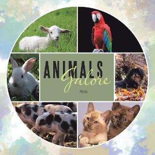 Imagen de portada: Animals Galore 9781490789033