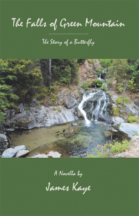 Cover image: The Falls of Green Mountain 9781490789743