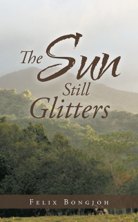 Cover image: The Sun Still Glitters 9781490794228