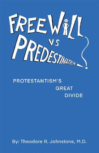 Imagen de portada: Free Will Vs Predestination 9781490794884