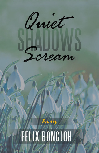 Cover image: Quiet Shadows Scream 9781490795003