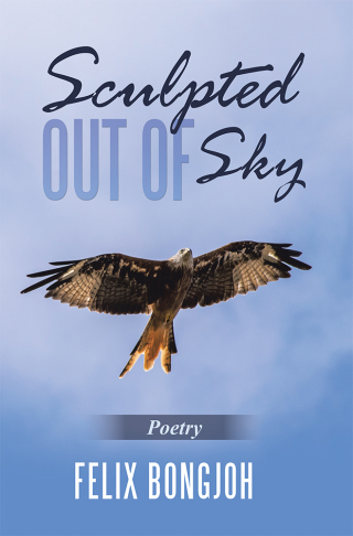 Cover image: Sculpted out of Sky 9781490795492