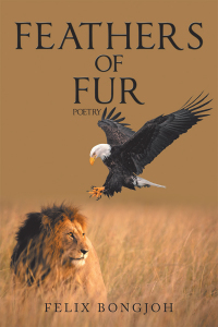 Imagen de portada: Feathers of Fur 9781490795799