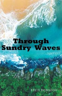 Imagen de portada: Through Sundry Waves 9781490796185