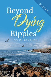 Cover image: Beyond Dying Ripples 9781490796772