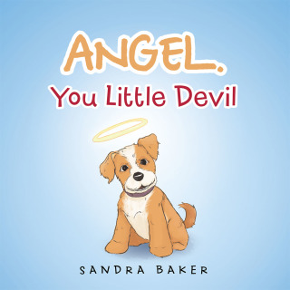 Cover image: Angel You Little Devil 9781490797038