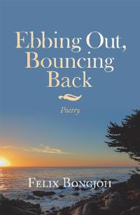 Cover image: Ebbing Out, Bouncing Back 9781490798011