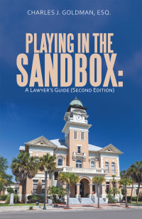 Cover image: Playing in the Sandbox 9781490798080