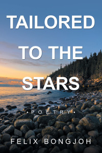 Imagen de portada: Tailored to the Stars 9781490798271