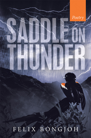 Cover image: Saddle on Thunder 9781490799018