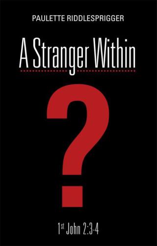 Cover image: A Stranger Within 9781490802305